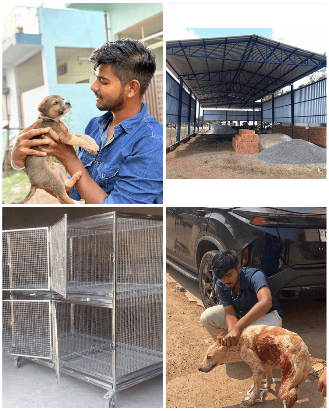Safe Shelter, Not Streets — Help Us Build Cages for Rescued Animals